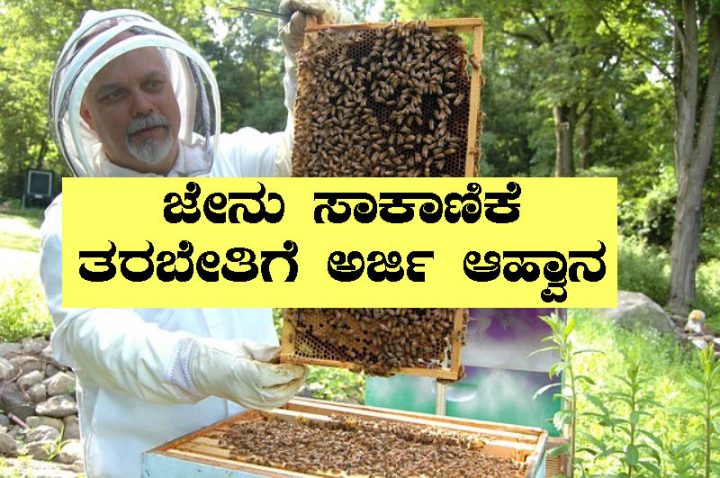 Application for honey bee training
