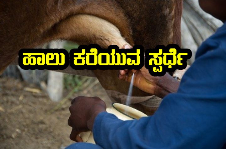 Milking competition for farmers
