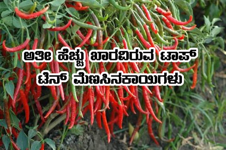 Top 10 hottest Chilies