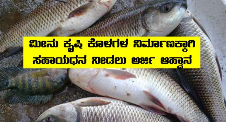 fish farming pond subsidy