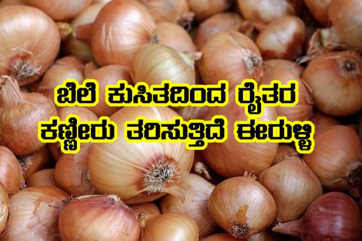 Onion price decreasing