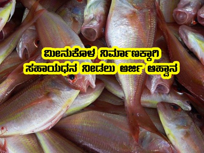 fish farm pond subsidy
