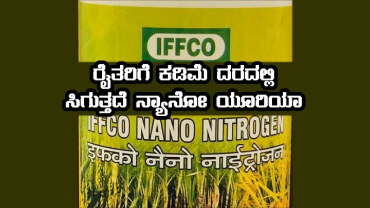 Nano urea fertilizer