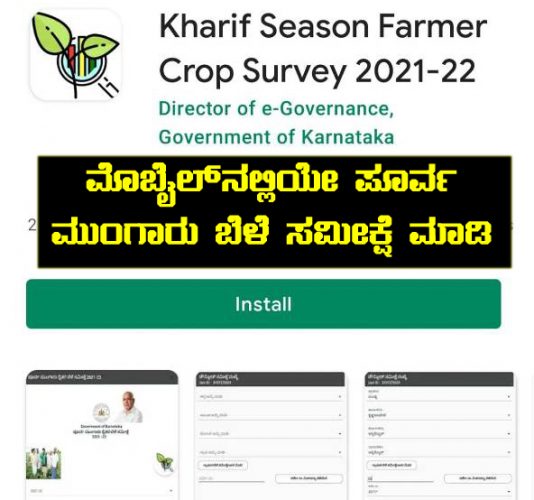 Early Kharif farmer crop survey