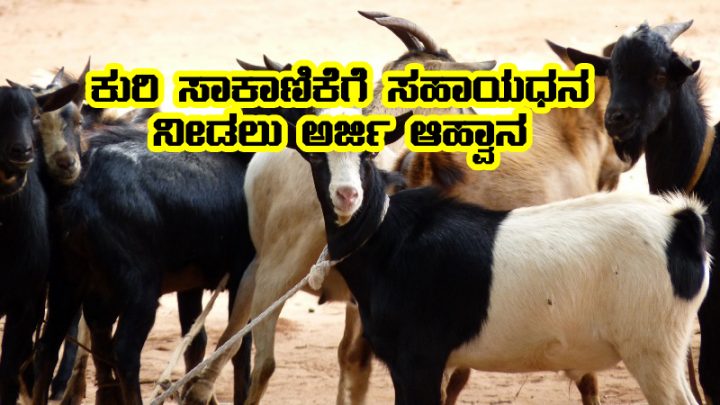 goat farming subsidy