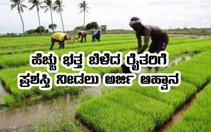 Application invited from paddy farmer