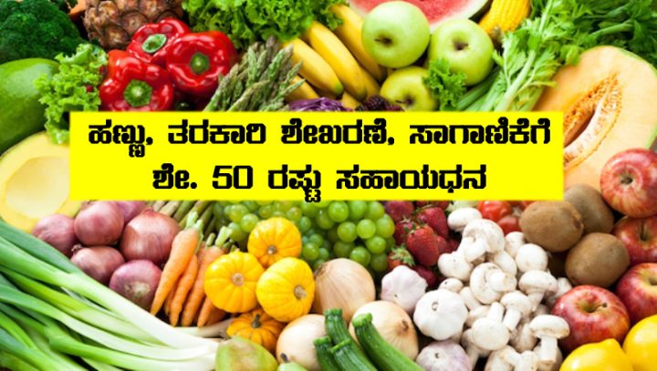 Subsidy for vegetable fruits storage