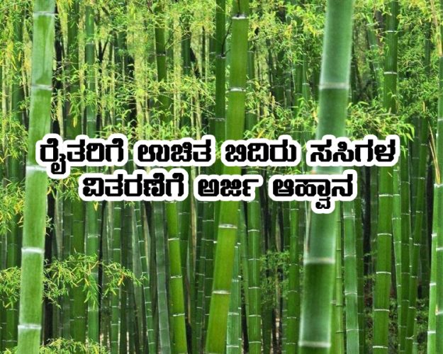 Free bamboo saplings Distribution