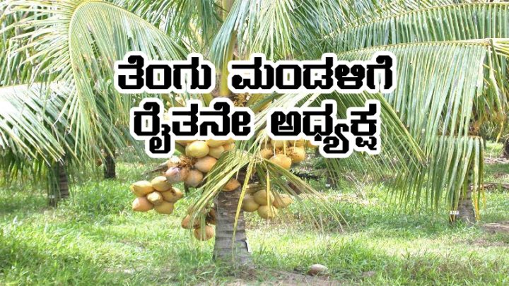 Farmer is the Chairman of Coconut Board