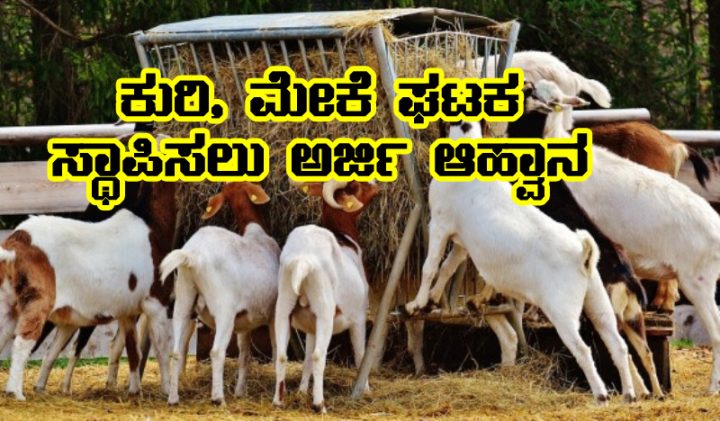 Goat farming unit subsidy