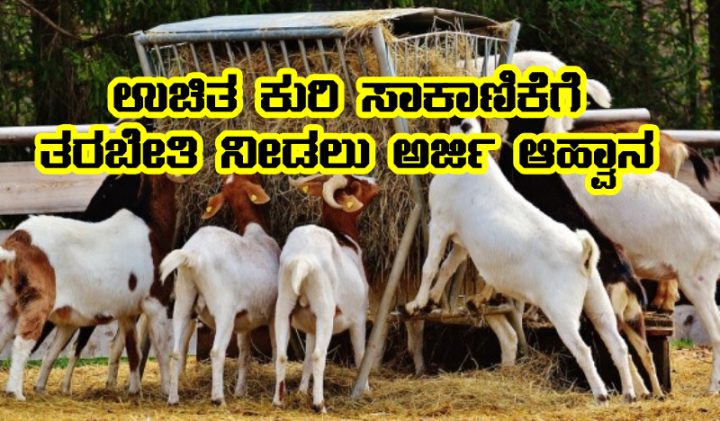 Free goat farming training