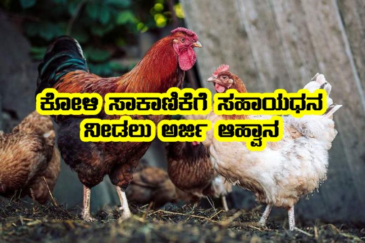 poultry farming subsidy