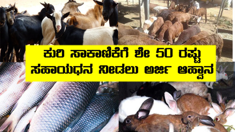 Goat unit ಸ್ಥಾಪನೆಗೆ ಶೇ. 50 ರಷ್ಟು ಸಬ್ಸಿಡಿಗೆ ಅರ್ಜಿ ಆಹ್ವಾನ • Janajagran