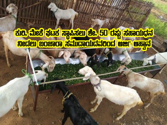Subsidy for Goat farming