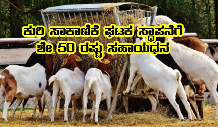Goat unit subsidy