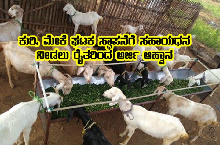 Subsidy for goat rearing