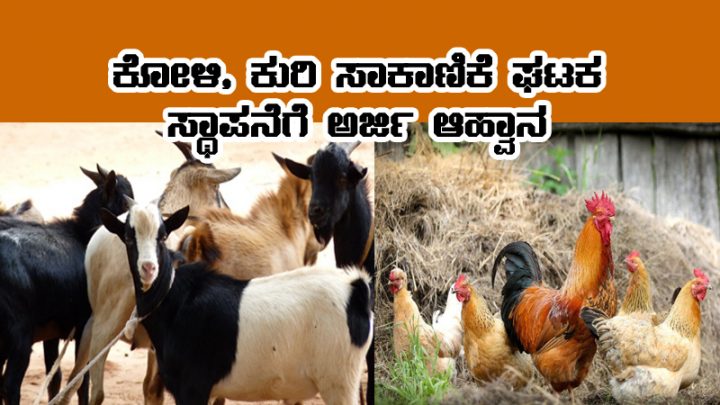 Subsidy for goat rearing and poultry
