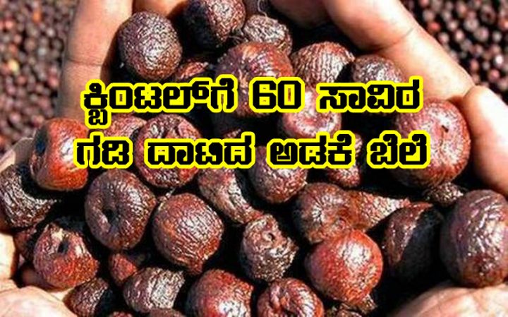 Areca nut price high