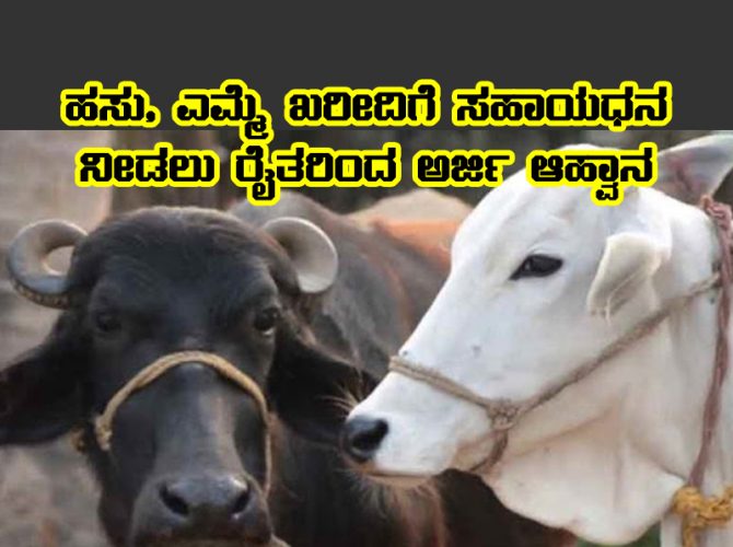 subsidy to buy cow and buffalo