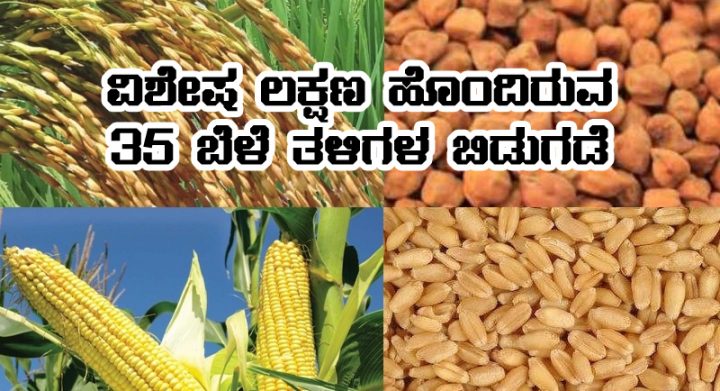 launches 35 crop varieties