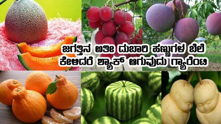 Most expensive fruits in the world
