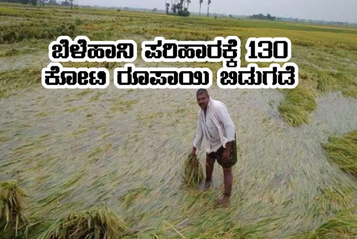 130 crore released for cropdamage