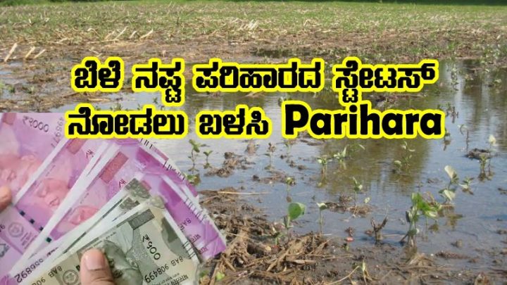 Parihara payment report