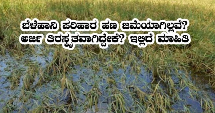Do you know why some crop damage rejected?