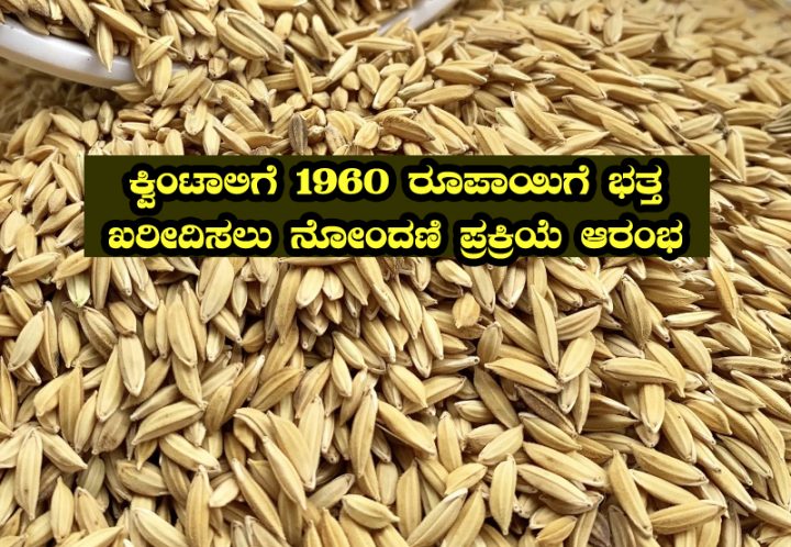 purchase of paddy under MSP