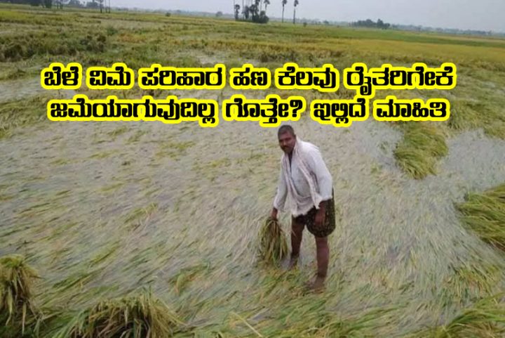 Do you know why some farmers not get crop insurance