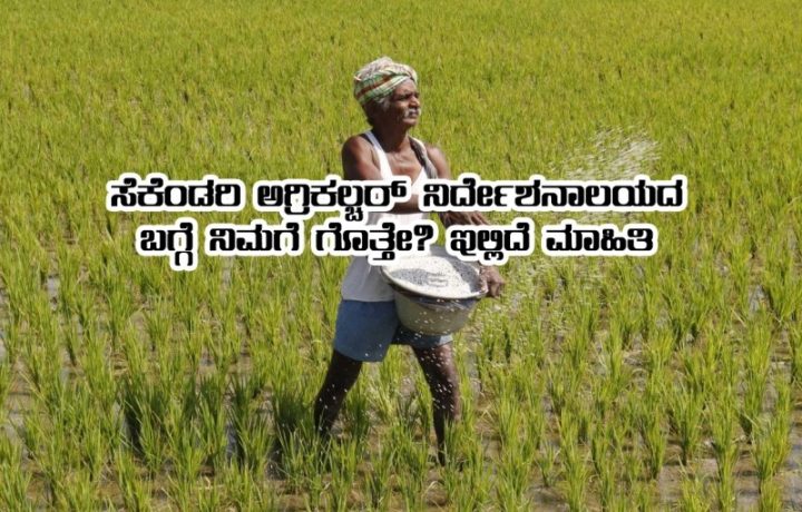 Agriculture directorate established for farmers