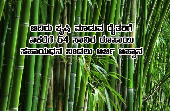 subsidy for bamboo cultivation