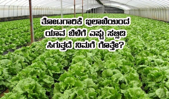 how much subsidy for horticulture crop