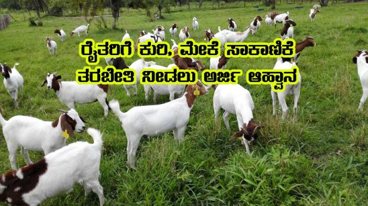 Goat farming 10 days training