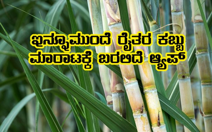 App for harvest and sell sugarcane