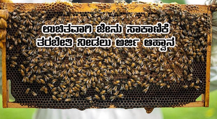 10 days free beekeeping training