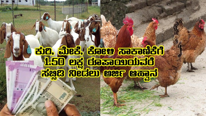 1.50 lakh subsidy for poultry