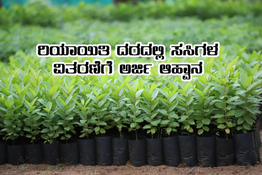 Farmer will get subsidy for saplings