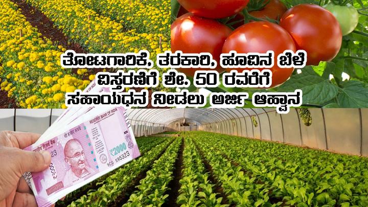50 percentage subsidy for vegetable