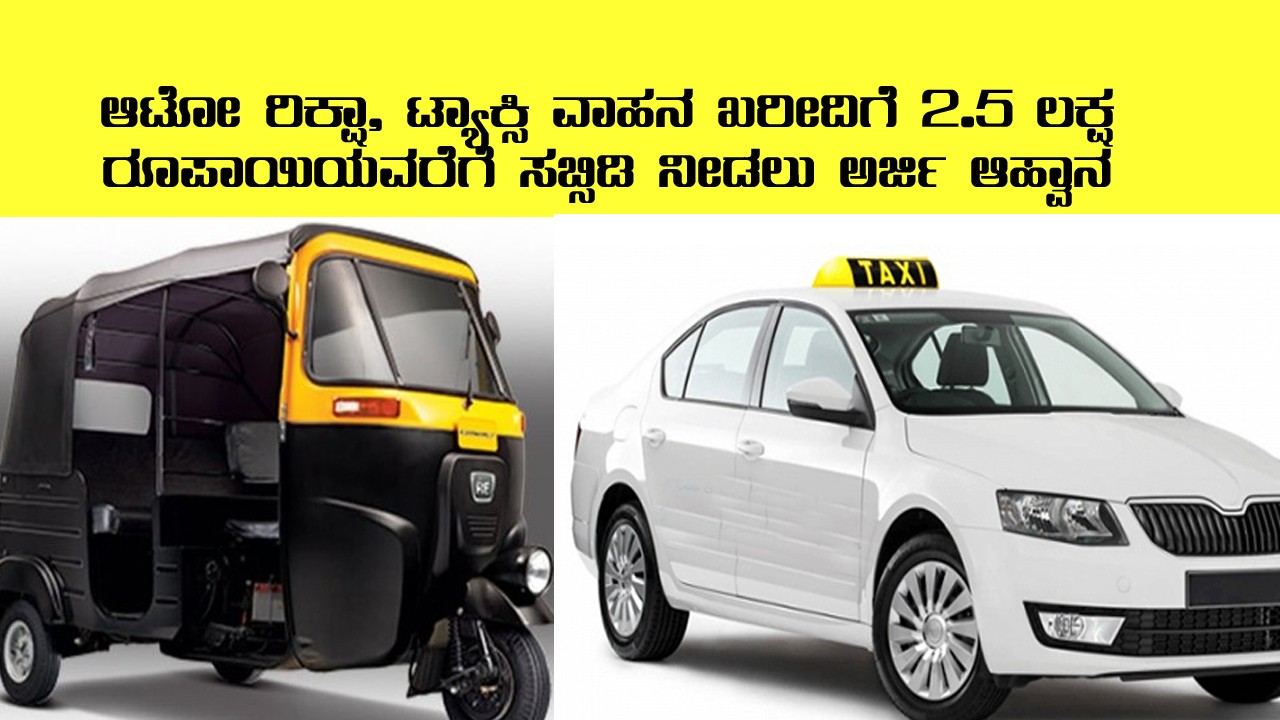 subsidy for purchase Auto rickshaw