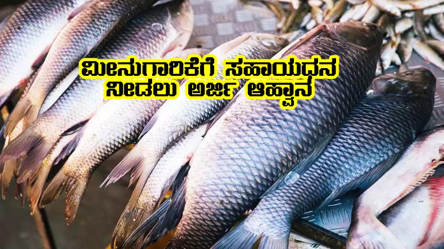 Applications invited for fisheries subsidy