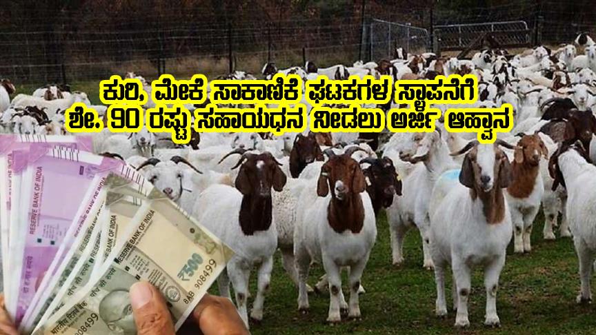 Subsidy for goat unit establishment