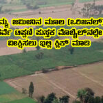 view the original land survey