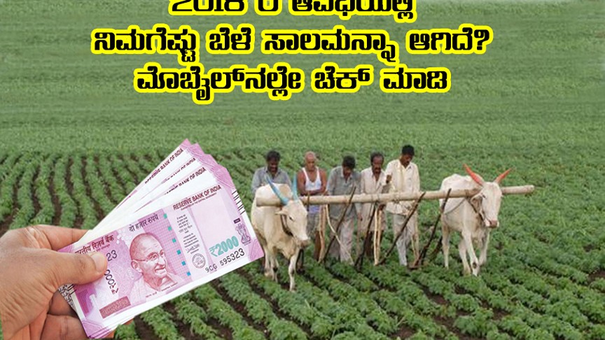 How much crop loan waiver have you got