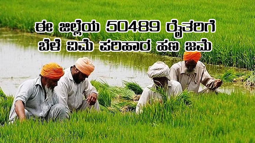 50489 farmers to get crop insurance