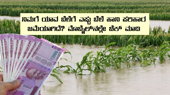 For which crop compensation credited