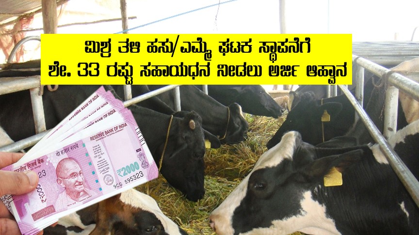subsidy for cow and buffalo unit