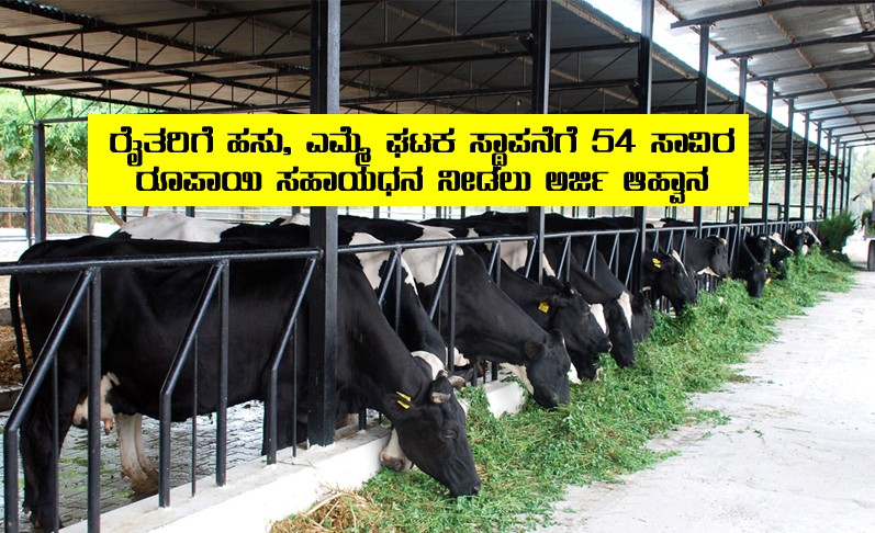 54 thousand subsidy for cow units