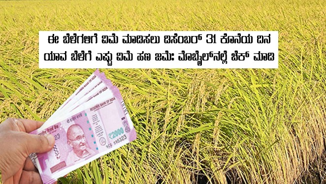 crop insure fund