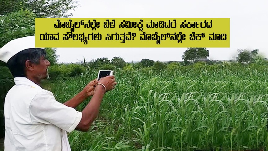 Crop survey in mobile and insurance